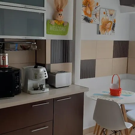 Relax - Take A Breath Of Mountain Air Apartment Brasov