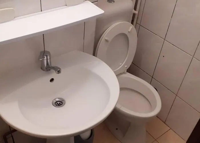 Relax - Take A Breath Of Mountain Air Apartment Brasov